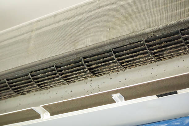 Best Emergency Air Duct Cleaning  in Holmes Beach, FL